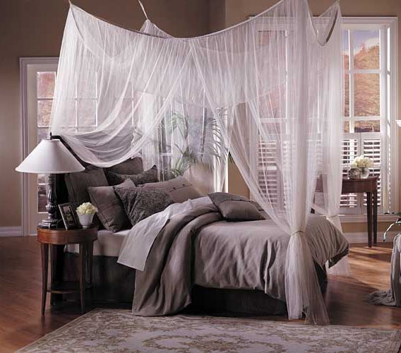 Princess Canopy Bed: (Canopy