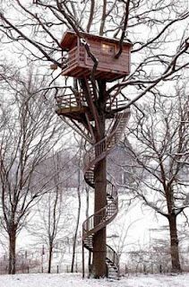 SLIFR Tree House