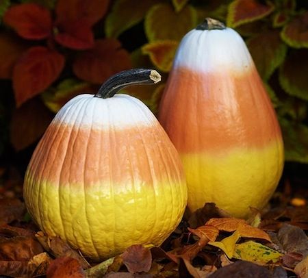 Spray pumpkins and gourds to look like candy corn – now this is cute!