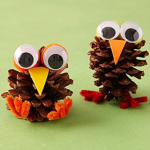 These adorable DIY craft birds are easy to make and are made from pinecones! Sho