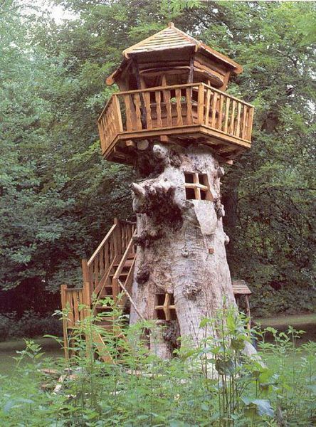 Tree house house