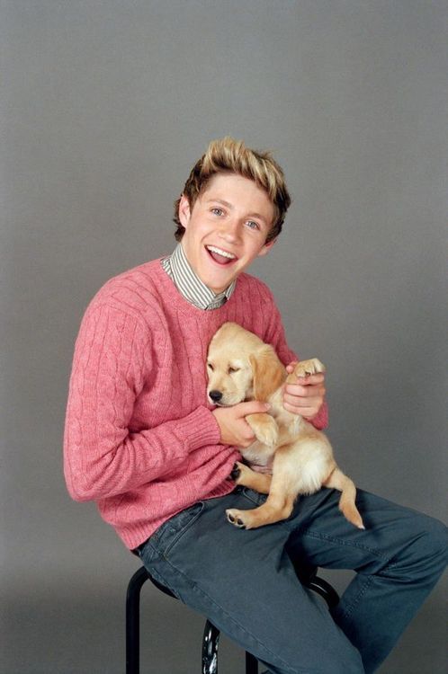 asdfghjkl I CANT EVEN! the 2 most adorable things ever Niall and puppies!