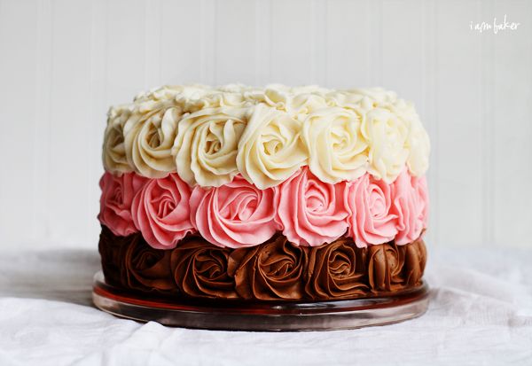 cake cake cake cake cake cake cake