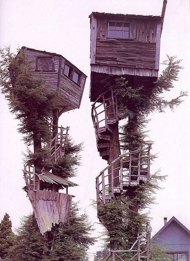 cool tree house #houses #nature