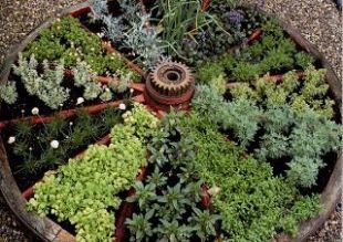 creative herb garden!