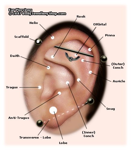 ear piercing diagram -   Ear head piercing