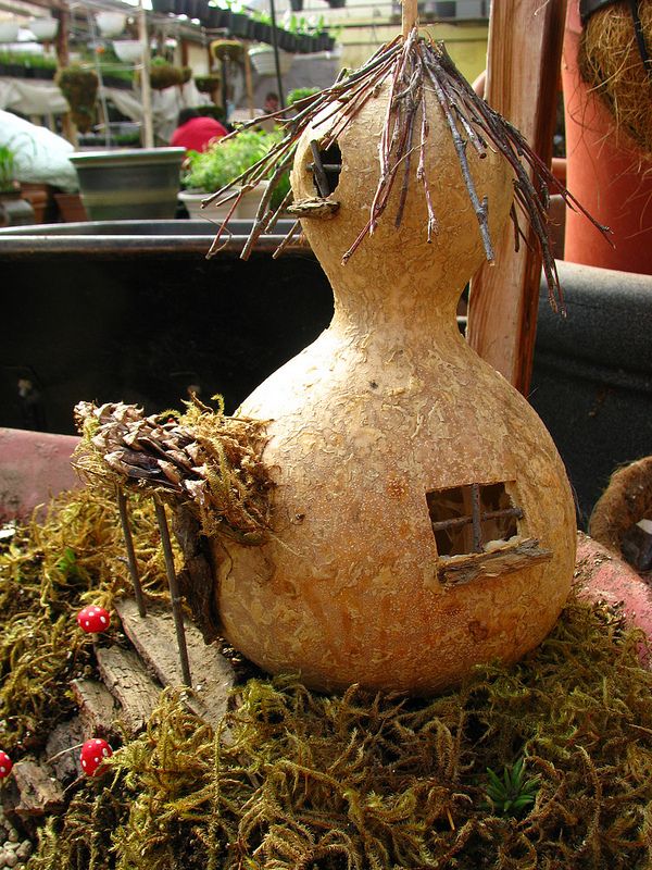 Fairy gourd house -   Fairy Gourd House Ideas