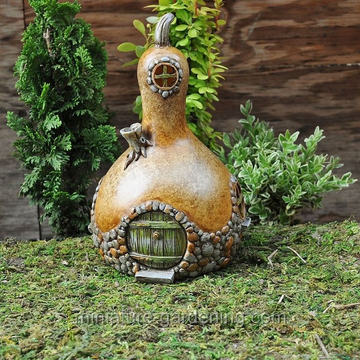 Fiddlehead Gourd Fairy Home -   Fairy Gourd House Ideas
