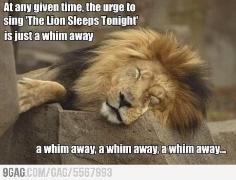 hahaha oh the lion king.