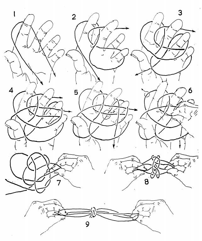Theodore Knot on Hand -   Knot Chart