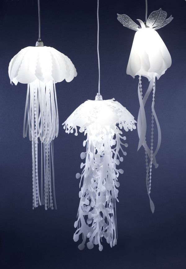 milk jug jellyfish