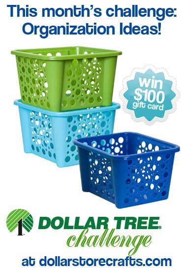 DollarTree.com Challenge: Spring Cleaning (win a $100 Dollar Tree gift card!)