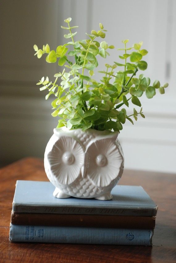 owl flowerpot