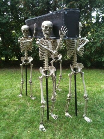 skelly coffin