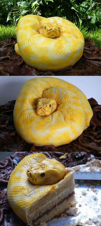 snake cake… snake