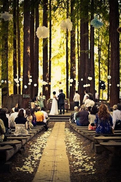 wedding in the woods!