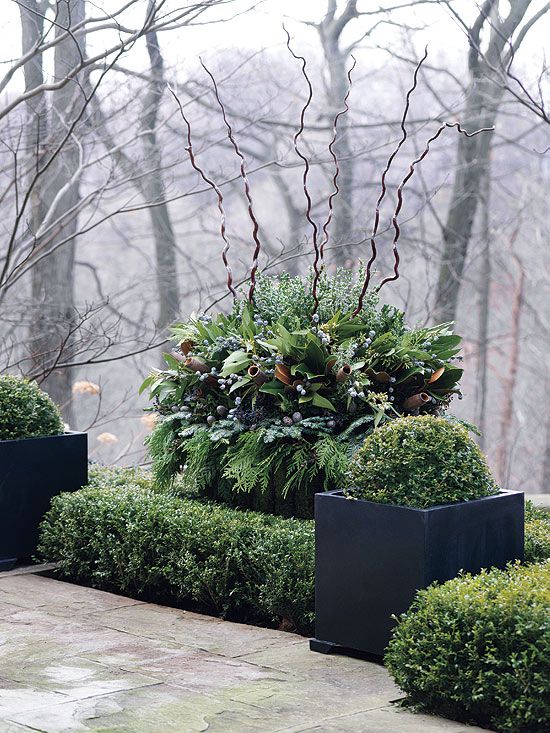 winter-pots-sumptuous.jpg…yard gleanings and corkscrew willow!