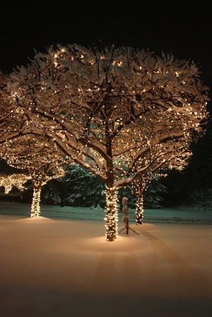 winter wedding lights
