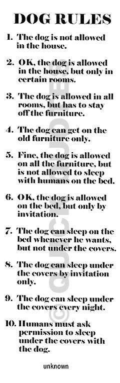 10 Dog Rules In The House