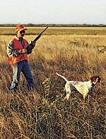 10 Pheasant Hunting Tips