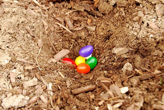 1. Buy some "magic" Jelly Beans 2. Plant them in your yard- this only