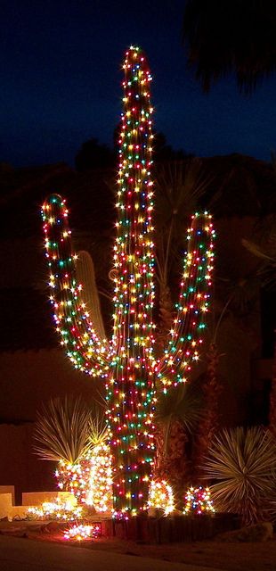 Arizona Christmas Tree