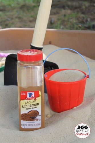 Cinnamon in the Sandbox – It keeps the bugs away! I knew cinnamon repelled ants.