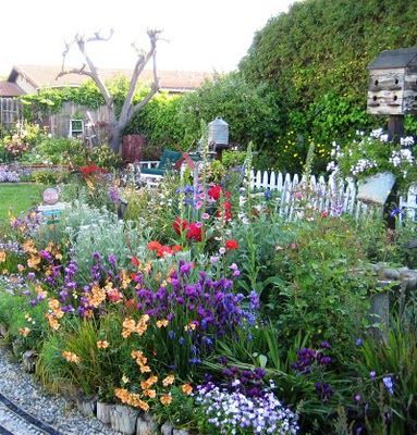 Color in the cottage garden.