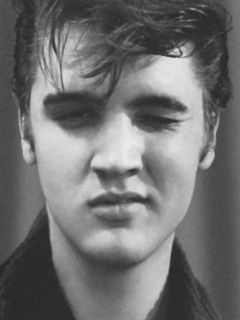 Elvis Presley elvis