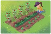 Enter your zip code for week by week instructions for gardening in your zone. :)