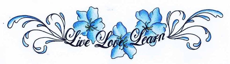 Forget Me Not Flower Tattoos – Bing Images