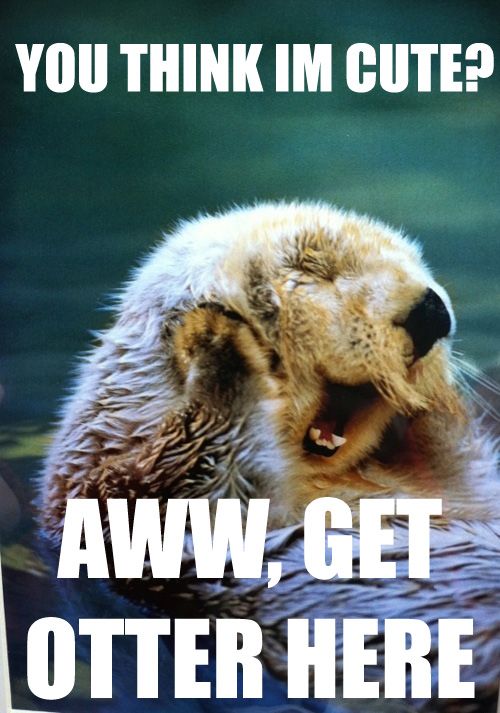 Get otter here!