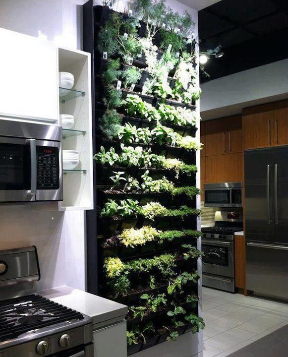 How to make the ULTIMATE spice rack! DIY indoor kitchen herb garden
