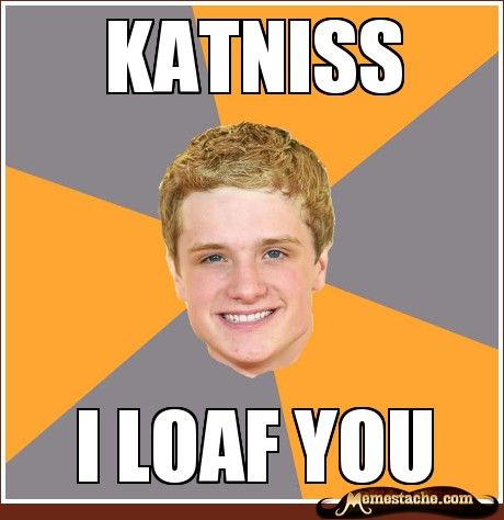 Hunger Games Memes!