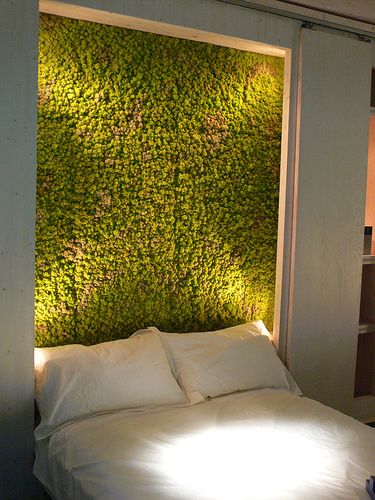 I've been in love with 'living walls' (art made of plants) for a few