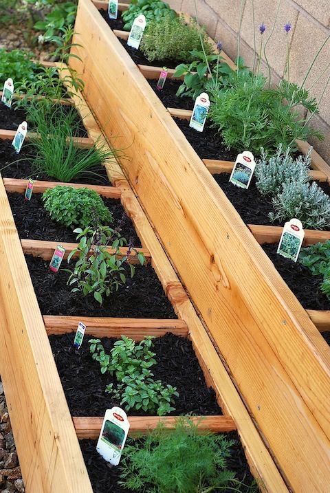 Interesting –> container garden in a raised bed. very cool w/ link to diy instr