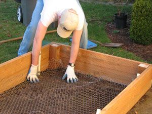 Line your raised bed with chicken wire to keep out gophers and moles!