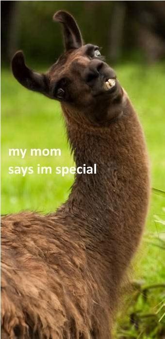 My Mom says I'm special.