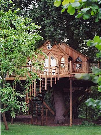 Now that's a tree house!
