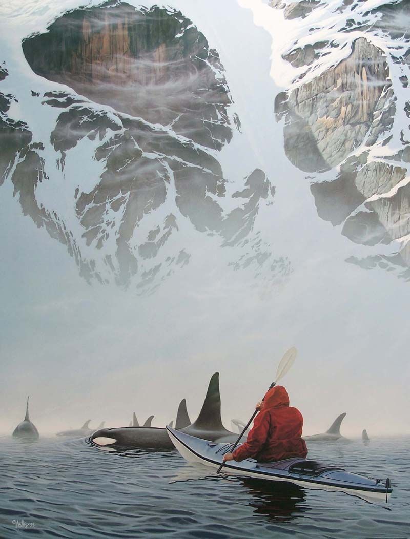 Paddling with a pack of Orca whales in Alaska and San Juans .. Acceptance ~ Chri