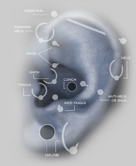 Piercing placement chart