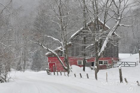 Snow Storm In Rutland, Vermont