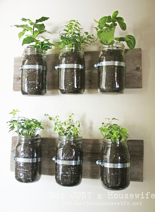 What a great way to grow herbs