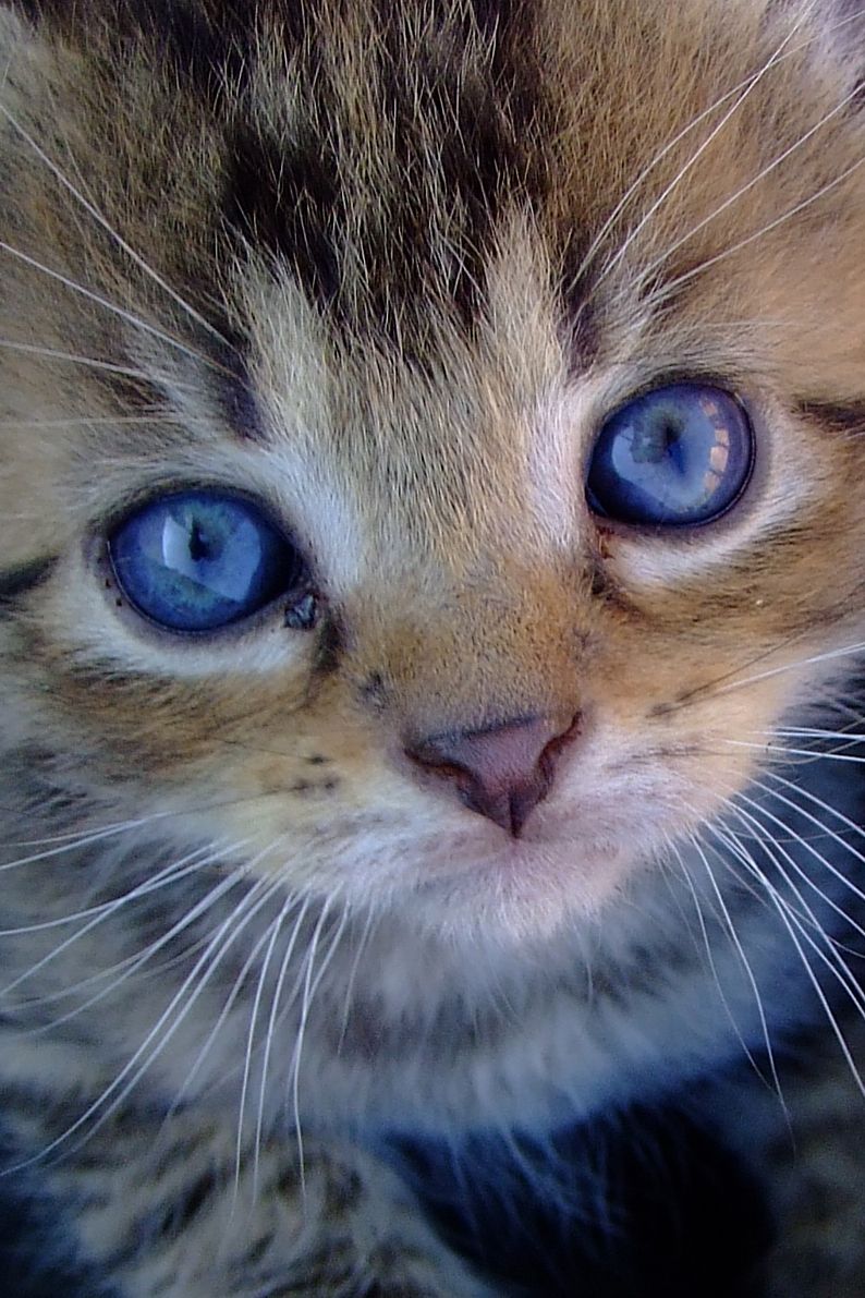 blue eyes ♥♥ and such a little sweetheart