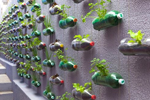 bottle planters