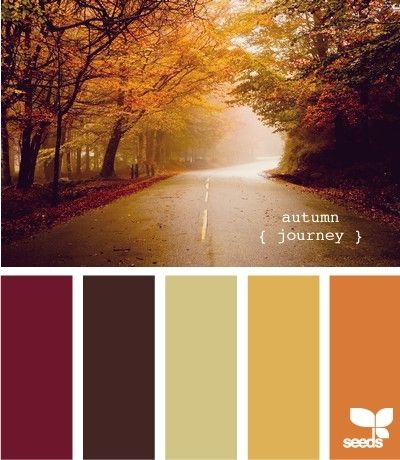 fall colors!