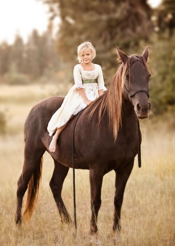 horse – girl's best friend