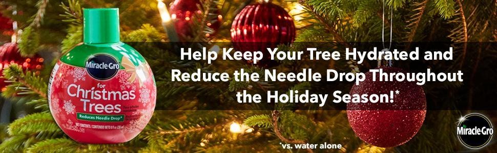How keep your Christmas tree fresh longer.