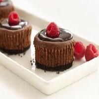 mini chocolate cheesecakes
