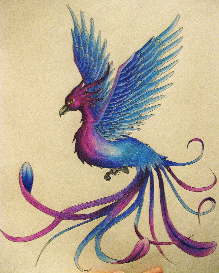 phoenix tattoo – Bing Images